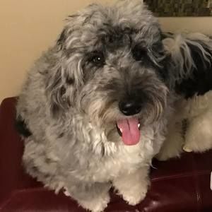 Meet your Posher, Jamie